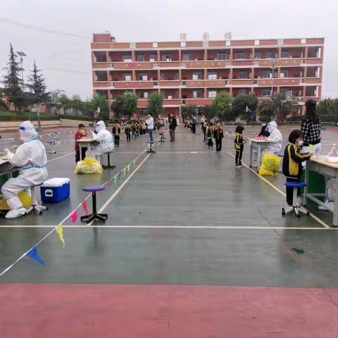 核酸检测严把关，筑牢校园安全墙-文山市德厚镇乐竜明德小学核酸检测
