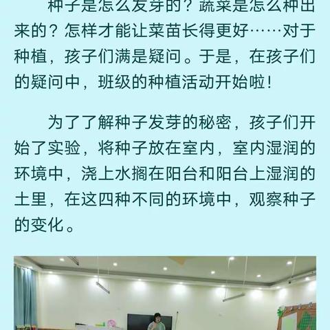 大二班植物角创设之“青瓜”日记