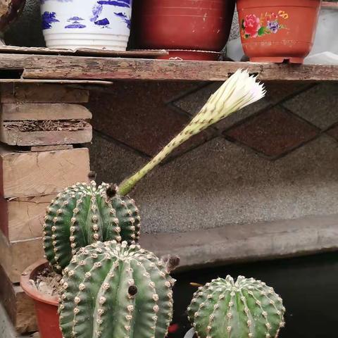 钰洹爷爷的美篇