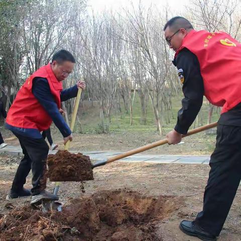 植树造林抚绿意 同心共建志愿林