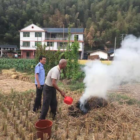 10月15日森林防灭火督导情况通报