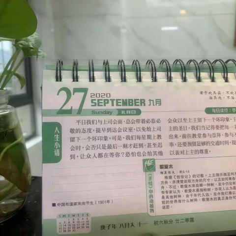 分享与收获——记2020年省中小学教师信息技术应用能力提升工程2.0信息化教学团队培训班授课