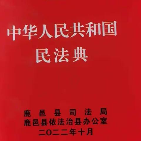 马铺镇刘寨小学法治教育进社区普法教育促成长