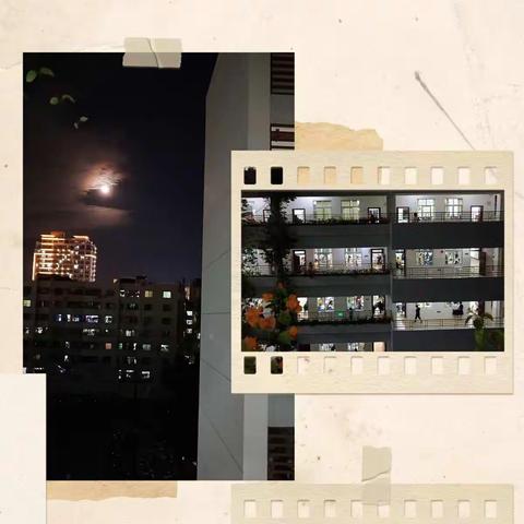 家校合作  共促进步