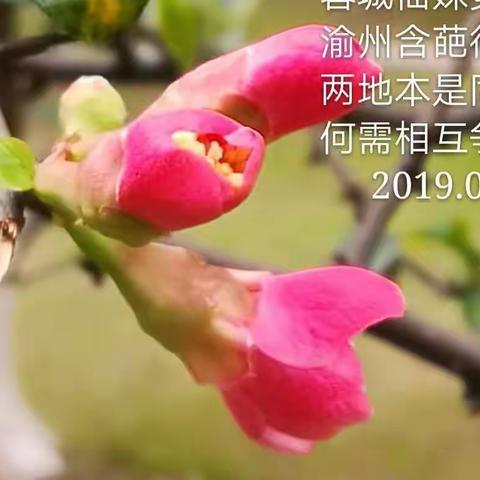花好月圆