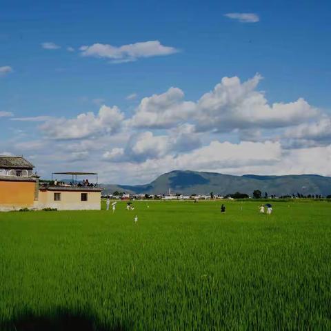 旅居大理（8）走进喜洲古镇