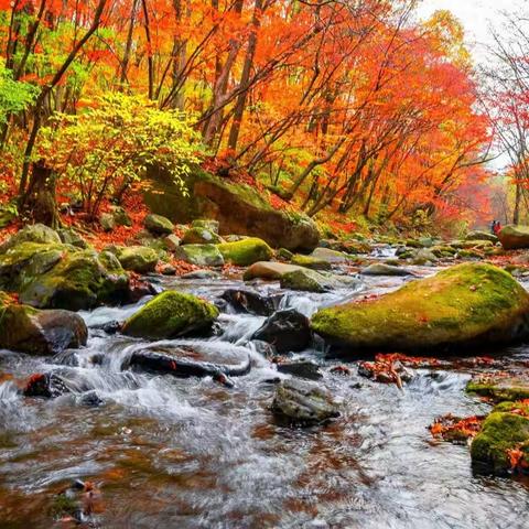 壬寅十月杂吟廿五首