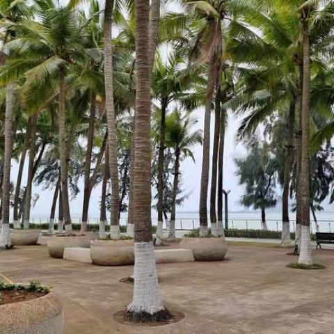 沁园春·游海口万绿园