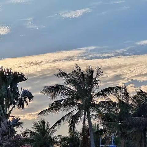 踏莎行·琼海观涛