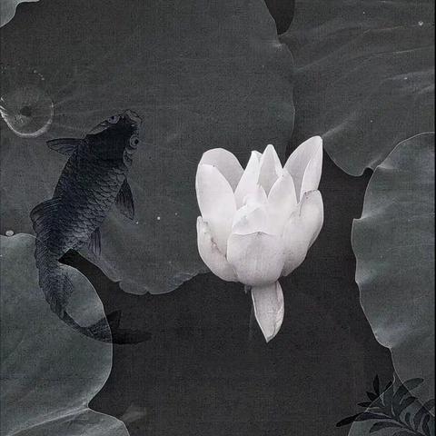 壬寅六月杂吟二十首