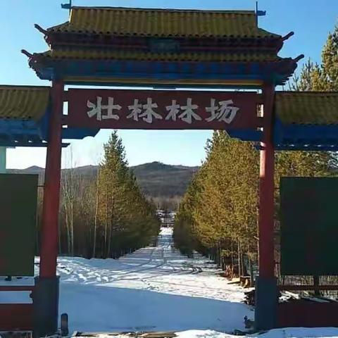 壮林管护区党支部开展“牢记初心使命、争当党员先锋”主题党日活动