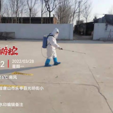 村庄里最美的大白