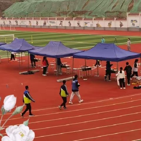 破晓而生，踏浪而行。——9.4第12周小报