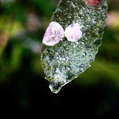 副省长陈文浩的永州侧影