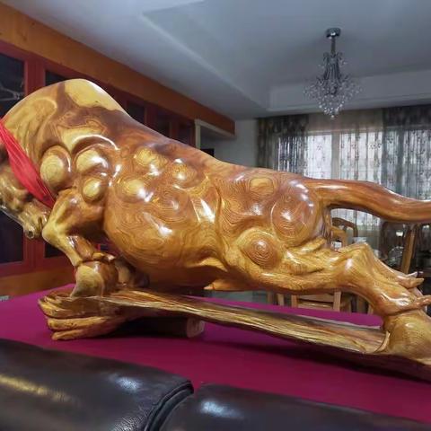 牛年，我居然买了头牛