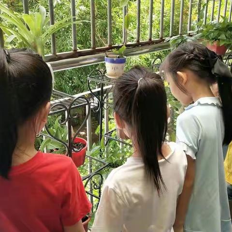 大大二班的一周生活