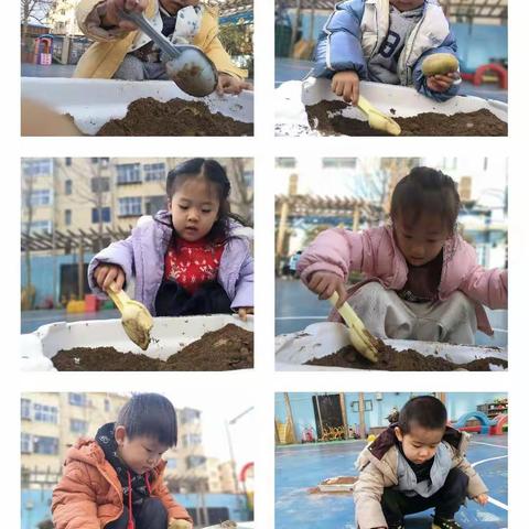 小二班《蔬菜派对》