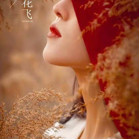 摄影图