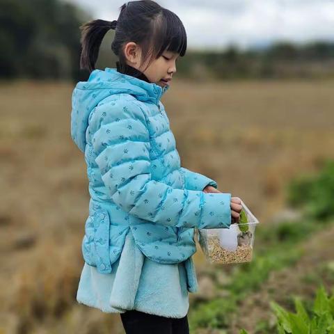 王秀娟 Zoe的美篇