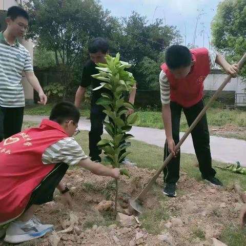 共同呵护   美丽校园 -----芦芝中学开展植树节活动