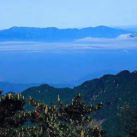 6月10日发小游天目山