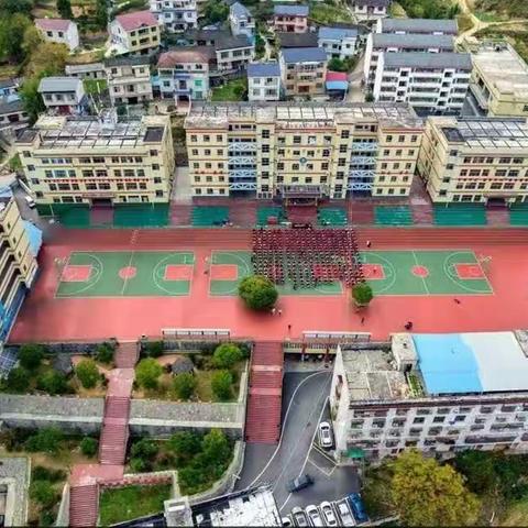 四十六载风雨路.弦歌不辍灼芳华