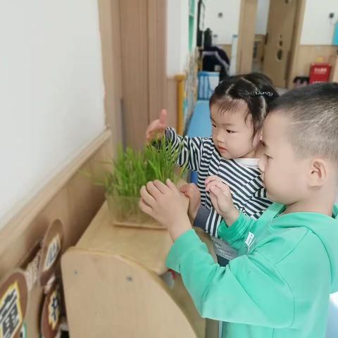 【嗨，小麦】启航幼教集团启萌乐堡幼儿园跑跑班课程故事