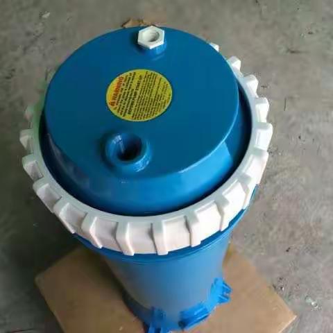 吸污过滤器 意万仕纸芯过滤器 游泳池过滤设备 泳池精密过滤器