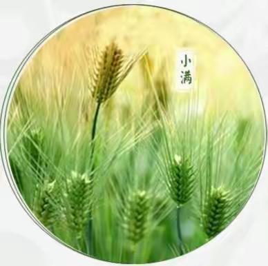 珍惜粮食  杜绝浪费——四年一班  鲁嘉懿发扬中华传统美德