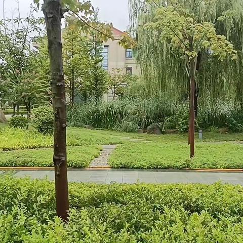 山大研学回顾