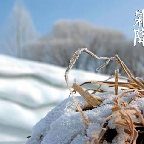 大手拉小手之霜降节气的到来