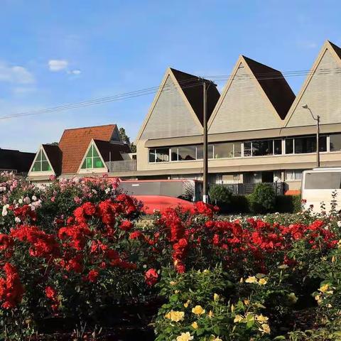 行摄新西兰（六）