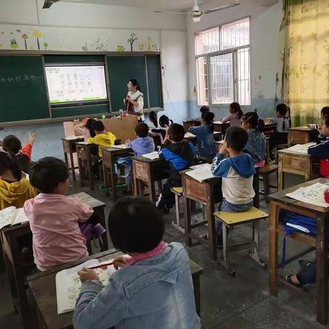 广信区田墩镇儒坞村小学:新进教师见面课，成长路上展风华