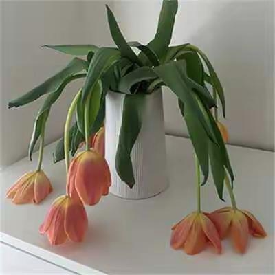 一半美好一生情