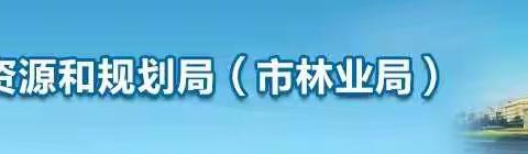 冯涛局长带队督导检查市林业技术推广中心“不忘初心、牢记使命”主题教育活动