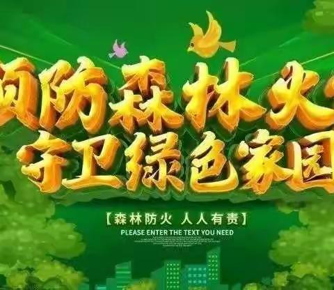 保护绿美家园  护林防火当先