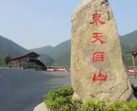 AAAA景区东天目山 赏秋休闲一日游