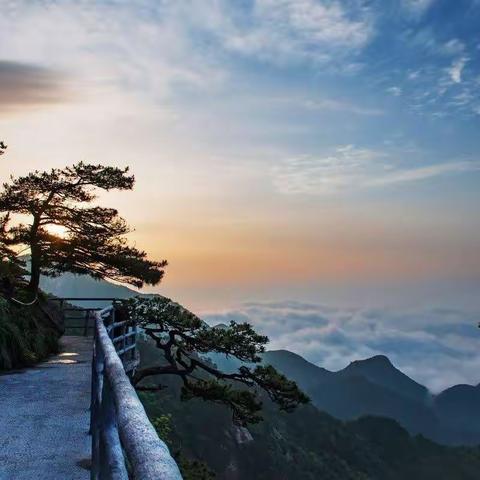 岳西明堂山、天峡风景区高山杜鹃二日行