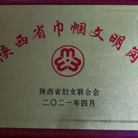 国家税务总局宁陕县税务局再添“省级荣誉”