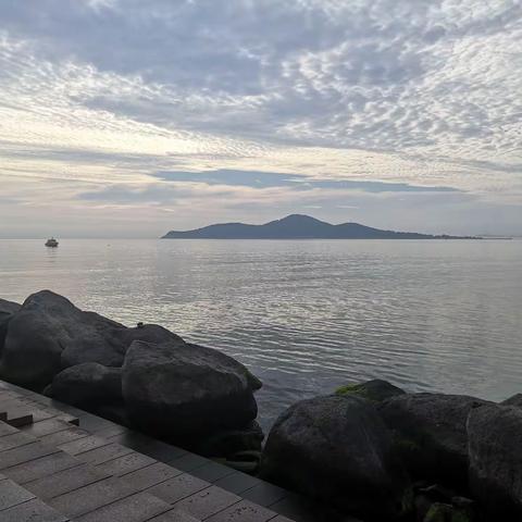 鲁岳公司2021年中会议纪实