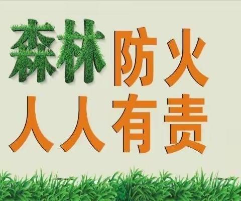 森林防火，你我同行——西北小学森林防火教育系列活动纪实