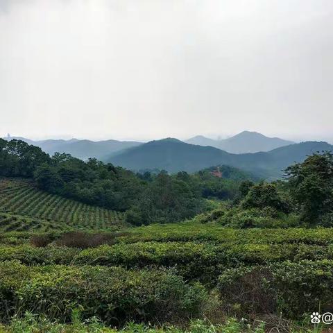 拜谒法华寺