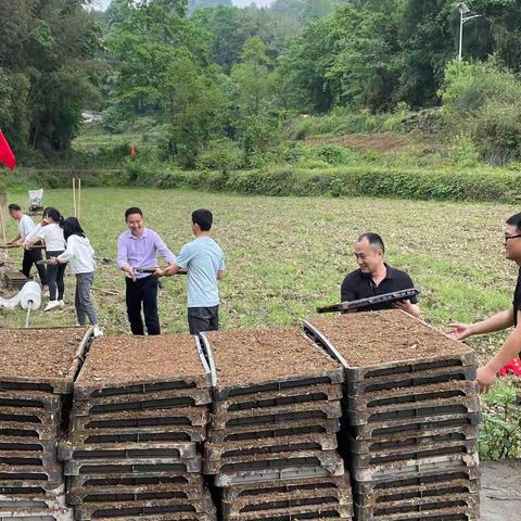 党建引领抓示范  跑出春耕“加速度”