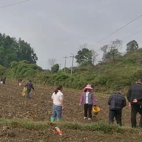 抢农时 抓时机 田间地头春耕忙