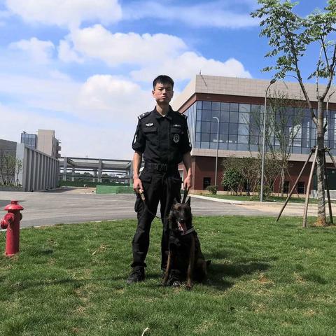 【最忠诚的战友】我与警犬的故事
