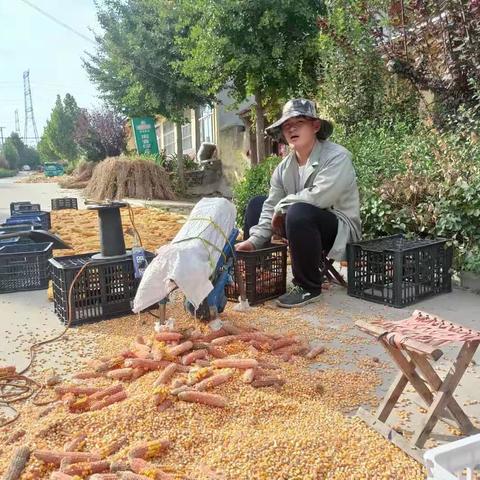 昌乐县实验中学8.7劳动实践