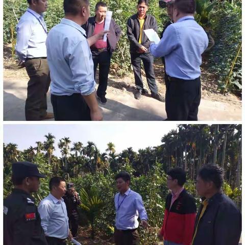 严格执法绝不姑息   坚决销毁不合格农产品