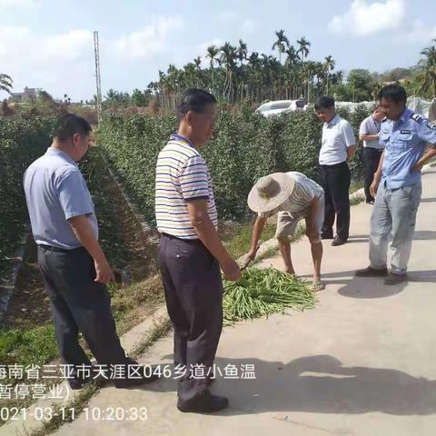 严格执法  坚决销毁不合格农产品