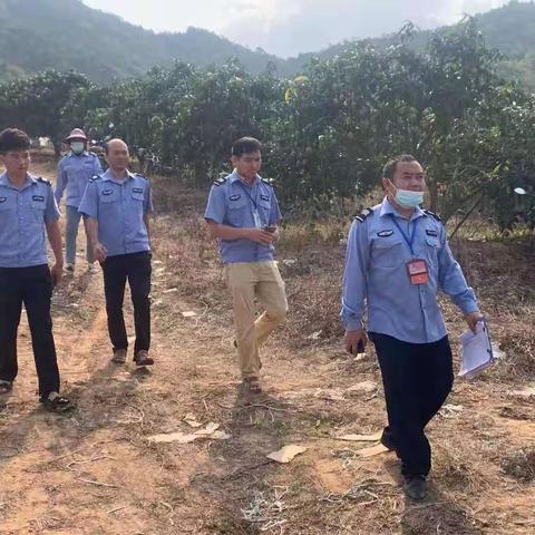 周六、周日不休息  彻查“白粉”（疑似高毒农药）源头
