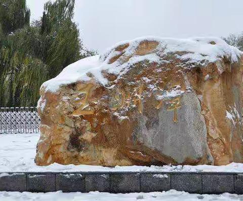 玉渊潭公园雪景